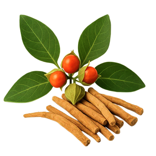 Ashwagandha (KSM-66®)