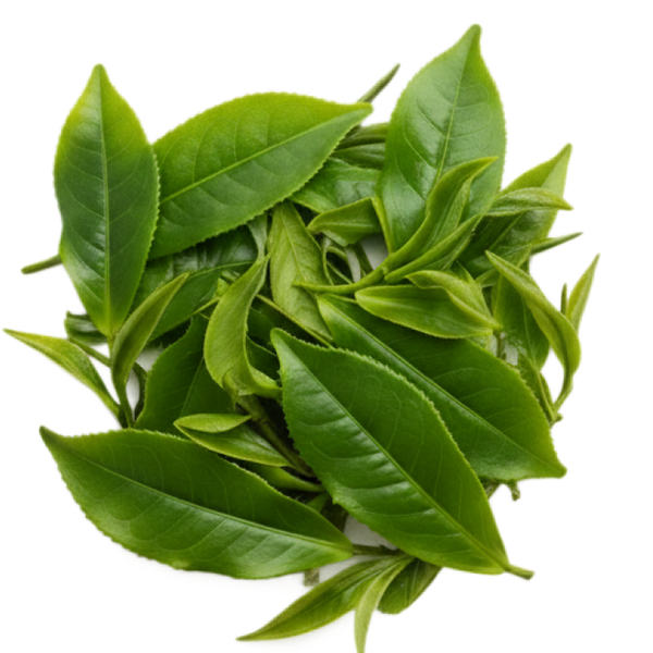 L-Theanine