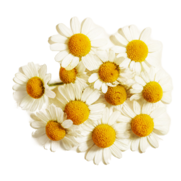 Apigenin